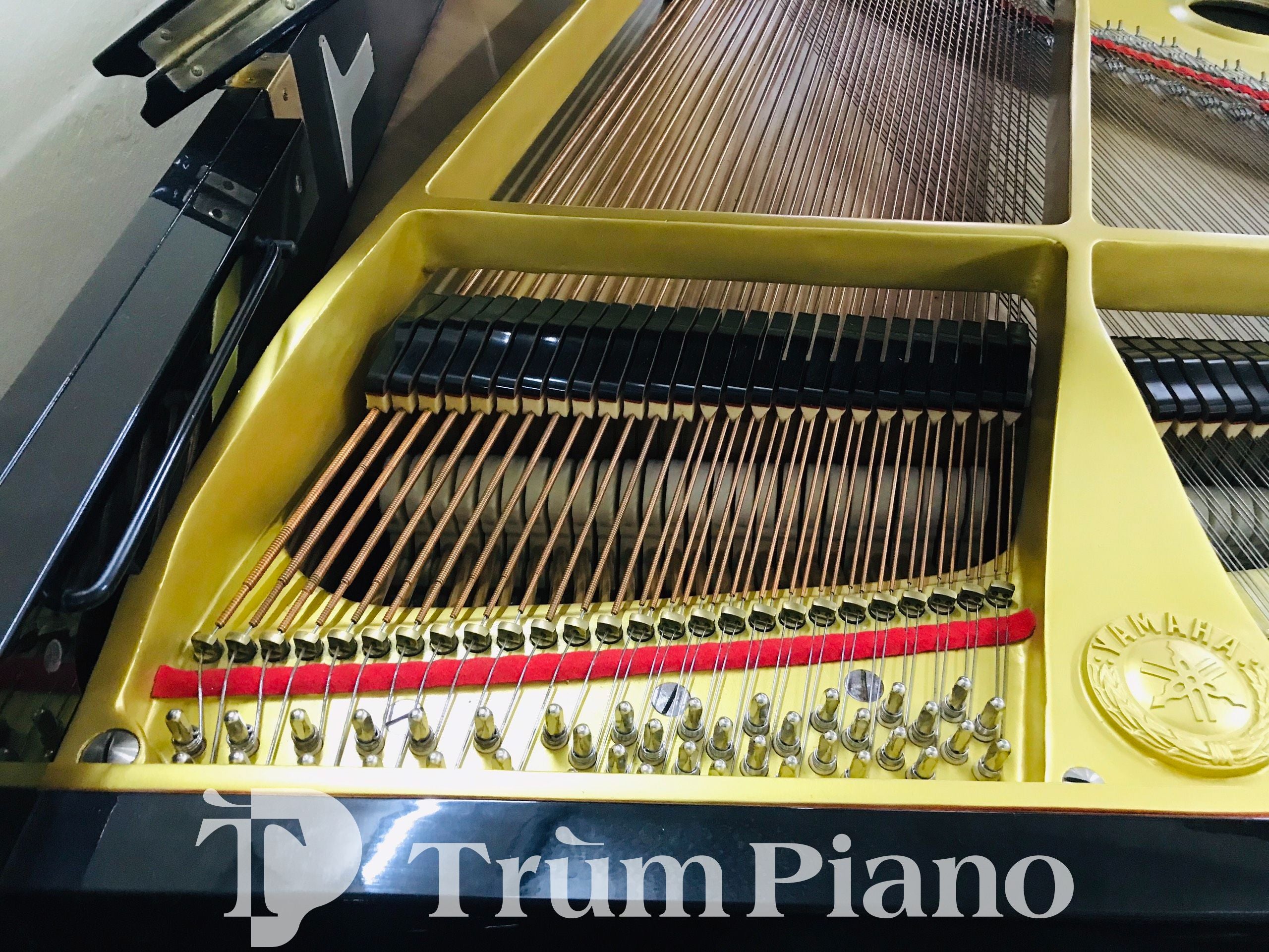 Đàn Piano Yamaha C3b