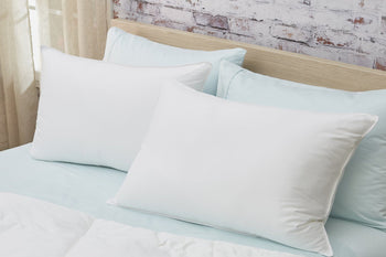 PlushBeds Down and Feather Pillows, Standard