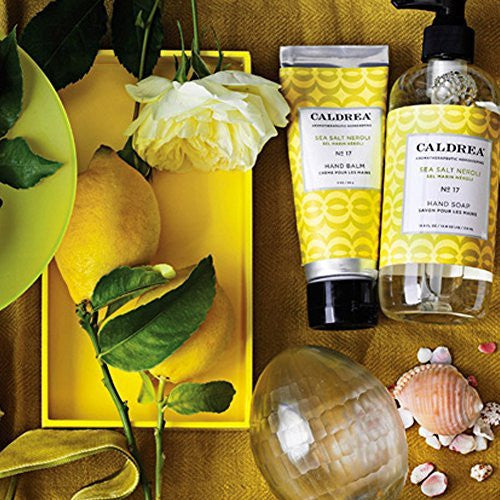 Caldrea Countertop Spray 16oz Sea Salt Neroli Capital Books And