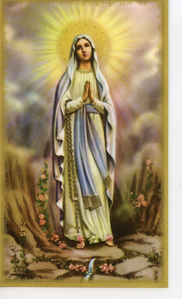 QUEEN OF THE MOST HOLY ROSARY - LAMINATED HOLY CARDS- QUANTITY 25 PRAY ...