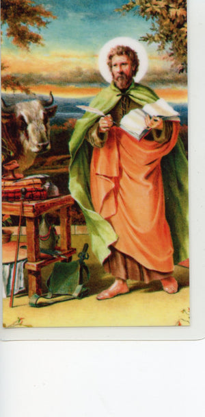 ST. LUKE - LAMINATED HOLY CARDS- QUANTITY 25 PRAYER CARDS