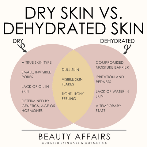 Dry Skin or Dehydrated Skin Graphic