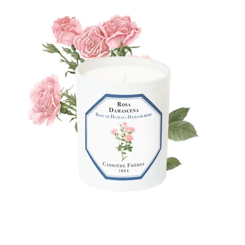 Carriere Freres Damask Rose Candle