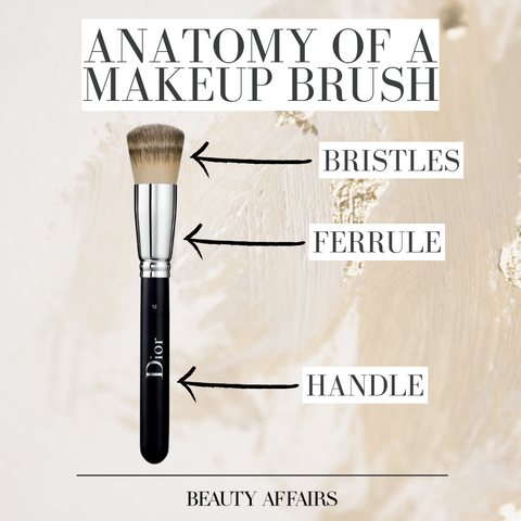 Explainer of the different parts of a makeup brush, including bristles, ferrule, and handle