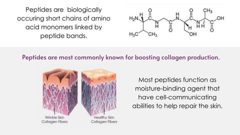 What are Peptides for the skin?