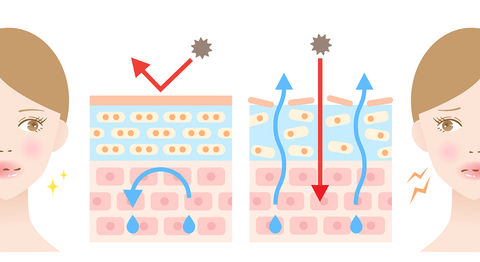 Illustration showing negative effect of pollution on collagen in skin