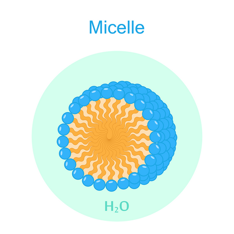 Illustration of micelle 