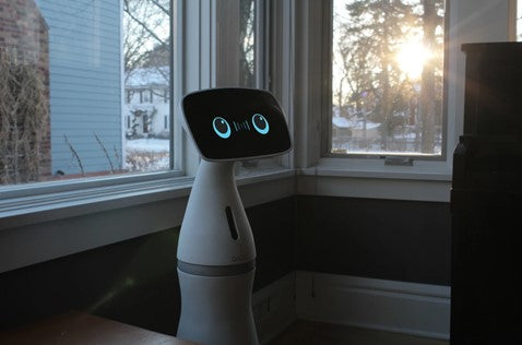 Personal Assistant Robots