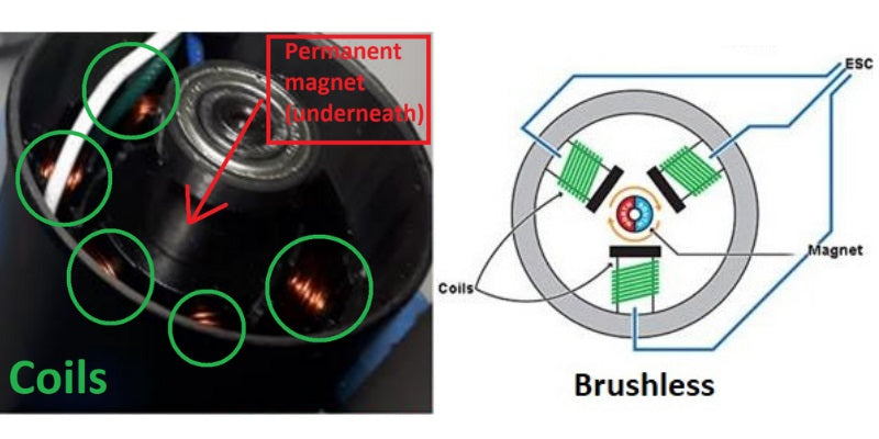 Drawing and actual example of Brushless DC motors