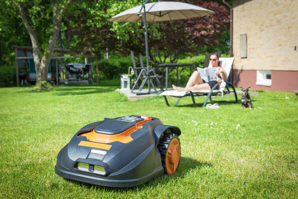 Photo of lawnmowers on a green lawn
