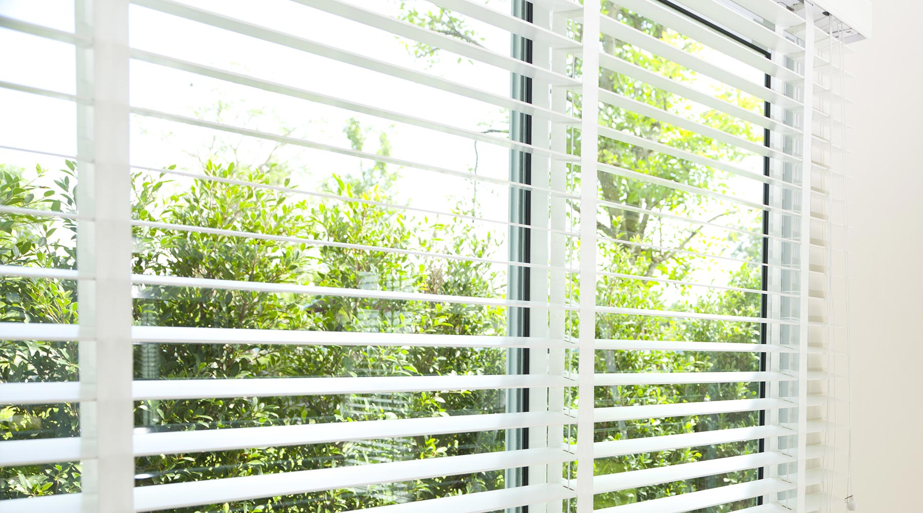 White blinds open on a large window, showing green trees and bushes outside the window.