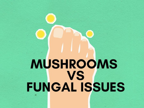 antifungal activities of medicinal mushrooms