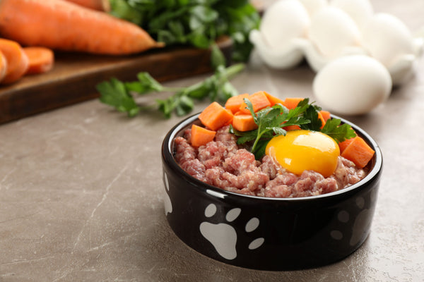 superfood science Benefits of Feeding Organic Dog Treats bowl egg carrots beef meat and vegetables