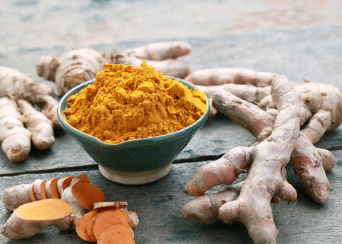 Turmeric Curcumin (Curcuma longa), The Golden Spice