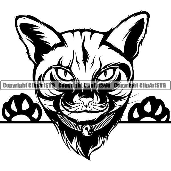 Download Clipart Svg