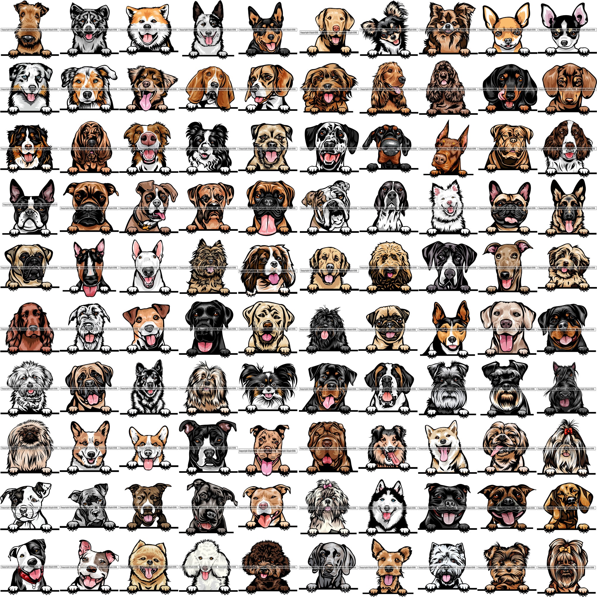 Download 100 DOG BREEDS PEEKING Color Designs Volume 01 BUNDLE OF ...