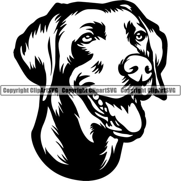 Weimaraner Dog Breed Head Face ClipArt SVG – ClipArt SVG