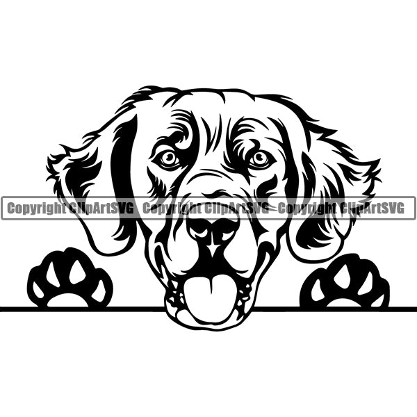 Free Free Life Is Golden Svg Free 26 SVG PNG EPS DXF File