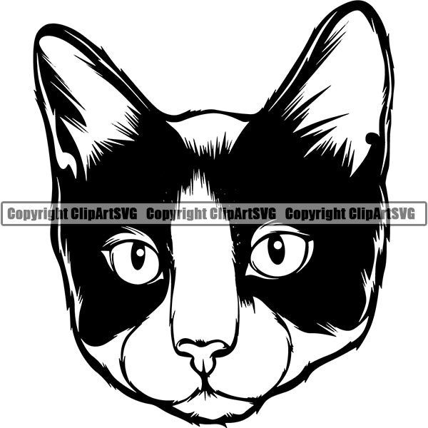 Download Cats Face Clipart Svg PSD Mockup Templates