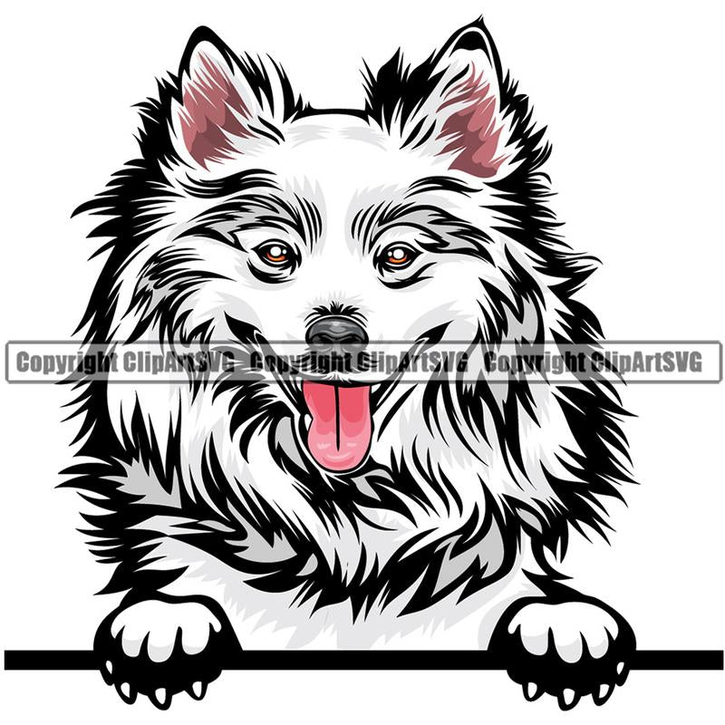 Download American Eskimo Dog Breed Peeking Color ClipArt SVG ...