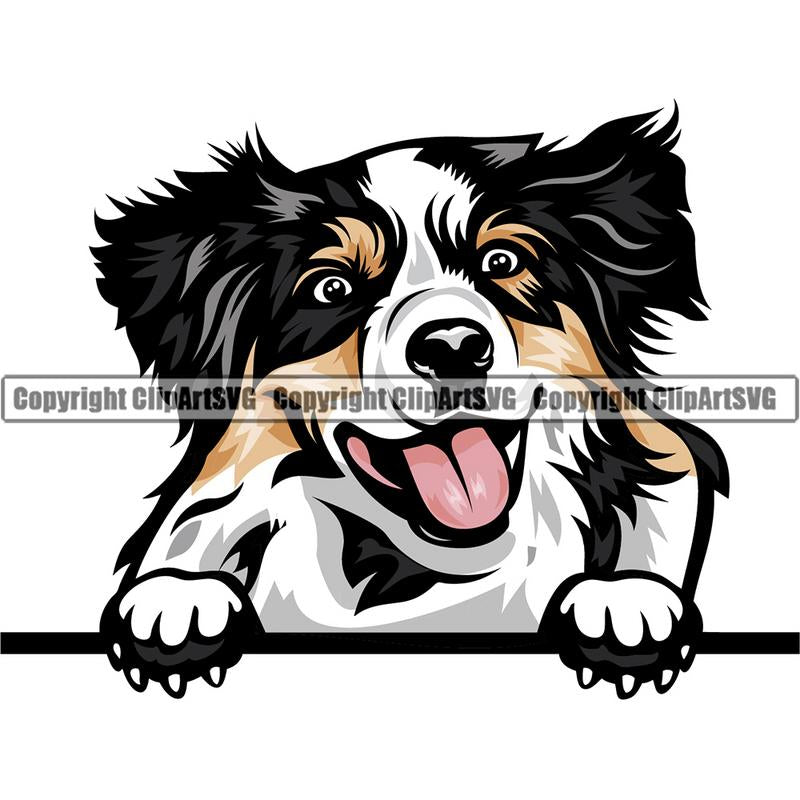 Download Clip Art Australian Shepherd Svg Silhouette Vector Graphic Art File Dog Svg Clipart Cut Out Commercial Use Instant Download Dog Printable Digital Art Collectibles