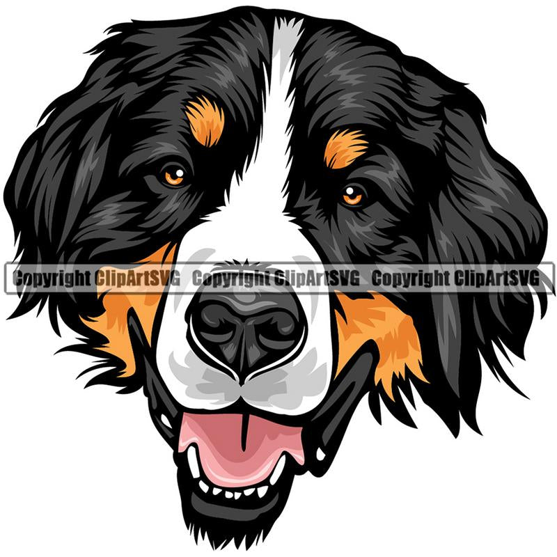 Bernese Mountain Dog Breed Head Color ClipArt SVG ...