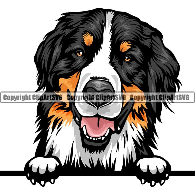 Free Free 132 Bernese Mountain Dog Svg SVG PNG EPS DXF File