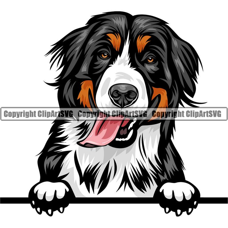 Free Free 273 Bernese Mountain Dog Svg Free SVG PNG EPS DXF File