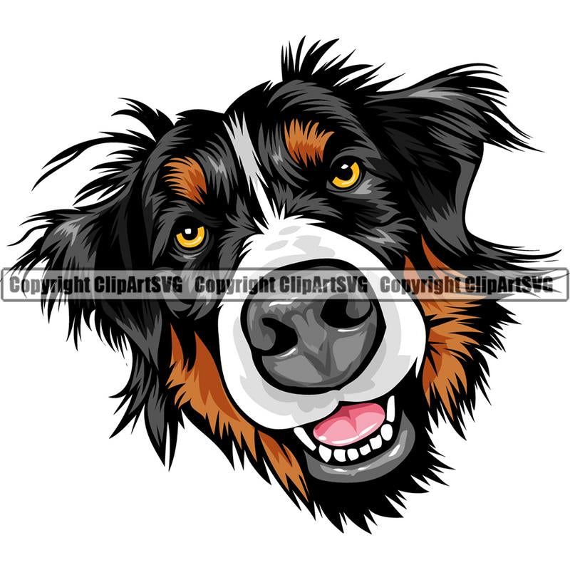 Free Free 170 Bernese Mountain Dog Svg SVG PNG EPS DXF File
