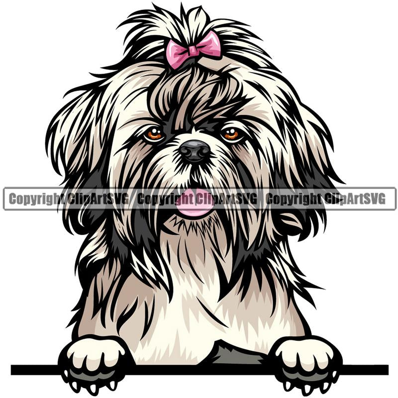 Shih Tzu Dog Breed Peeking Color ClipArt SVG – ClipArt SVG