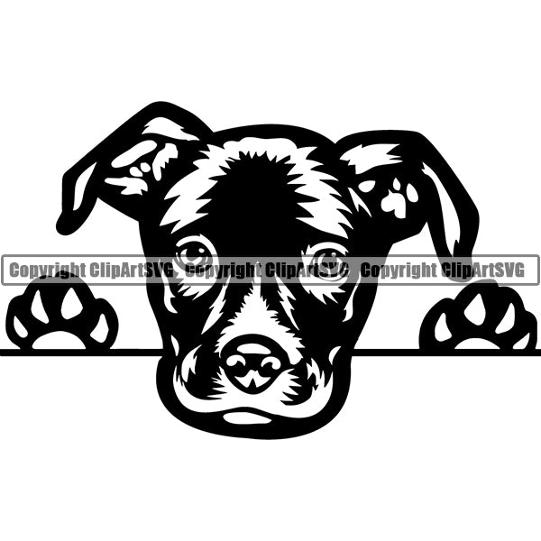 Free Free American Staffordshire Terrier Svg 374 SVG PNG EPS DXF File