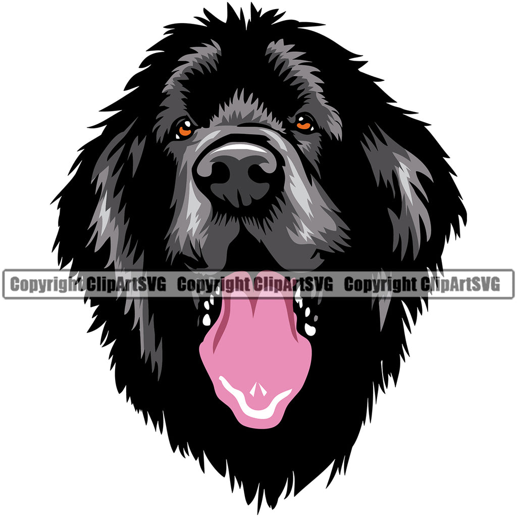 newfoundland dog clipart