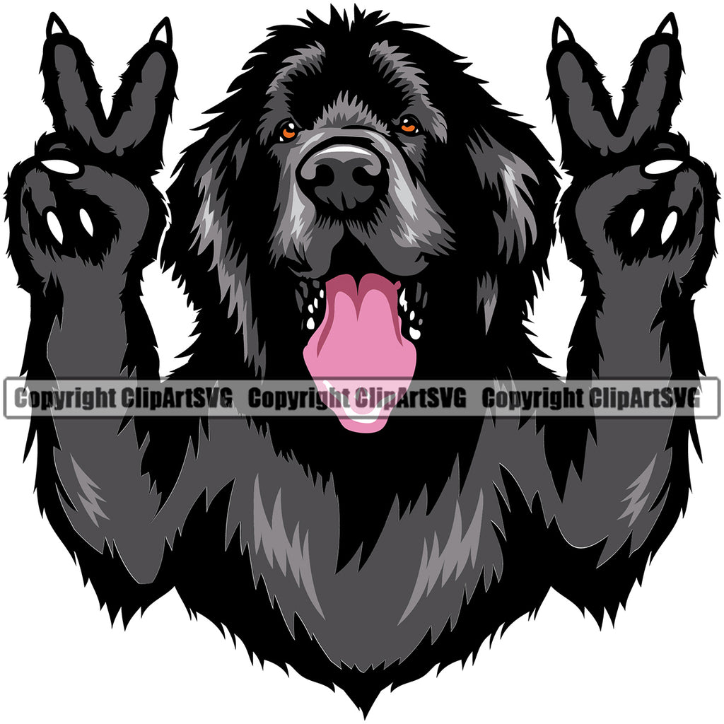 newfoundland dog clipart