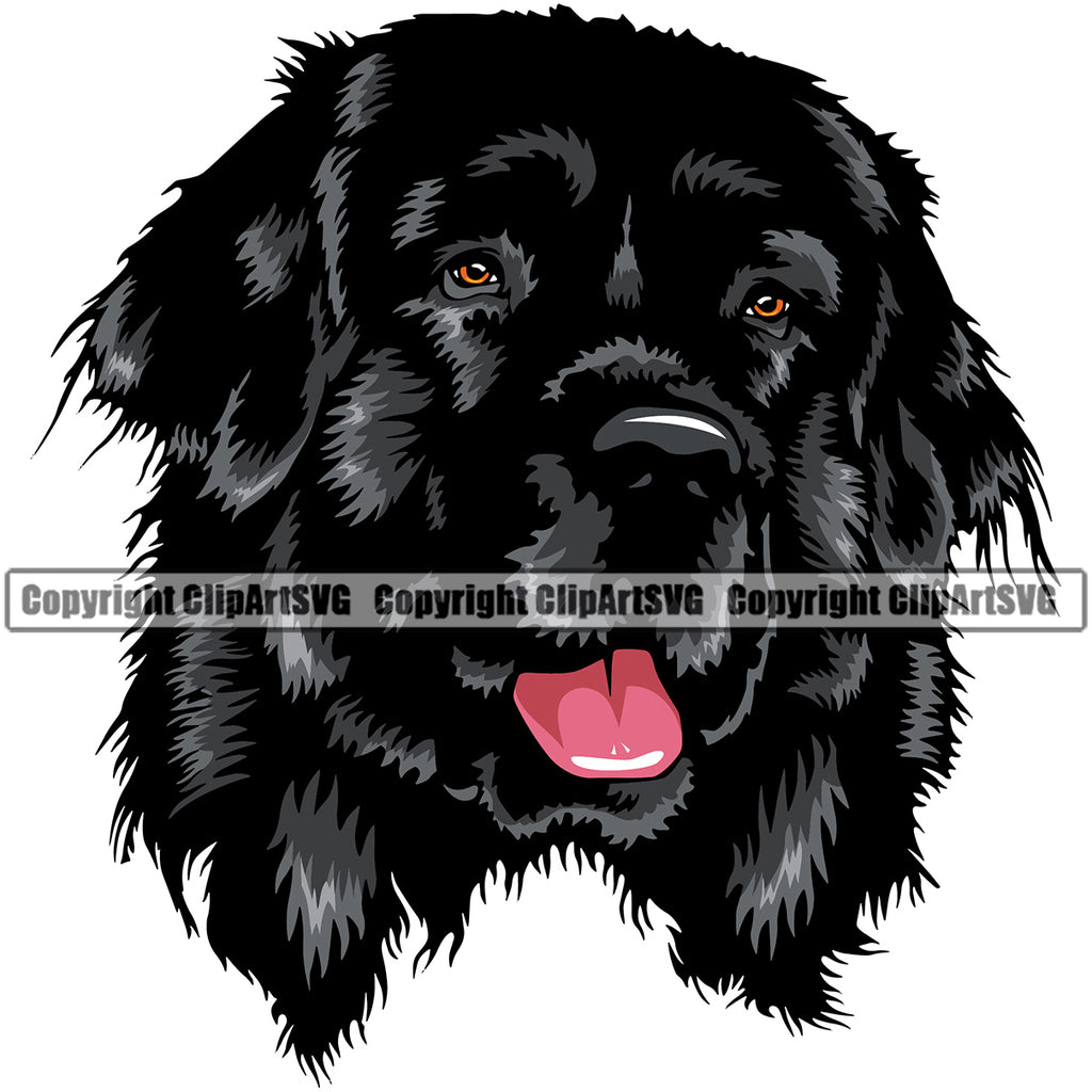 newfoundland dog clipart