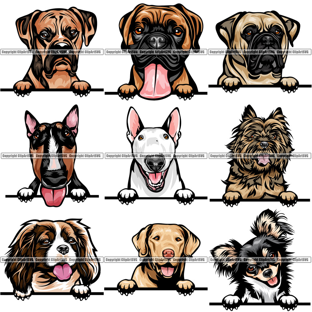 Download 100 DOG BREEDS PEEKING Color Designs Volume 01 BUNDLE OF ...