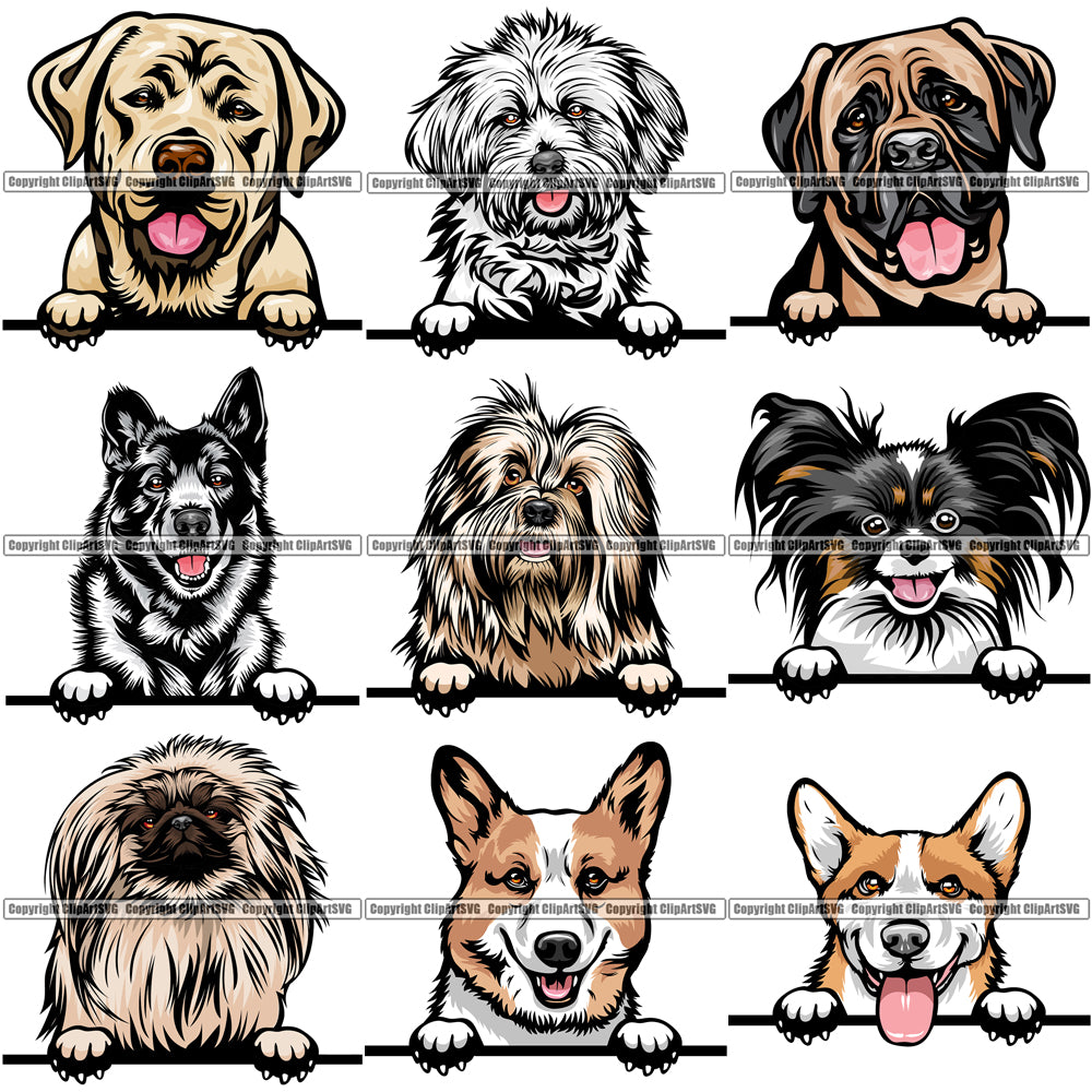 Download 100 DOG BREEDS PEEKING Color Designs Volume 01 BUNDLE OF ...