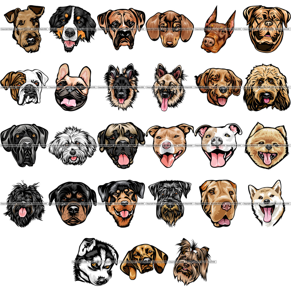 dog breed head shapes