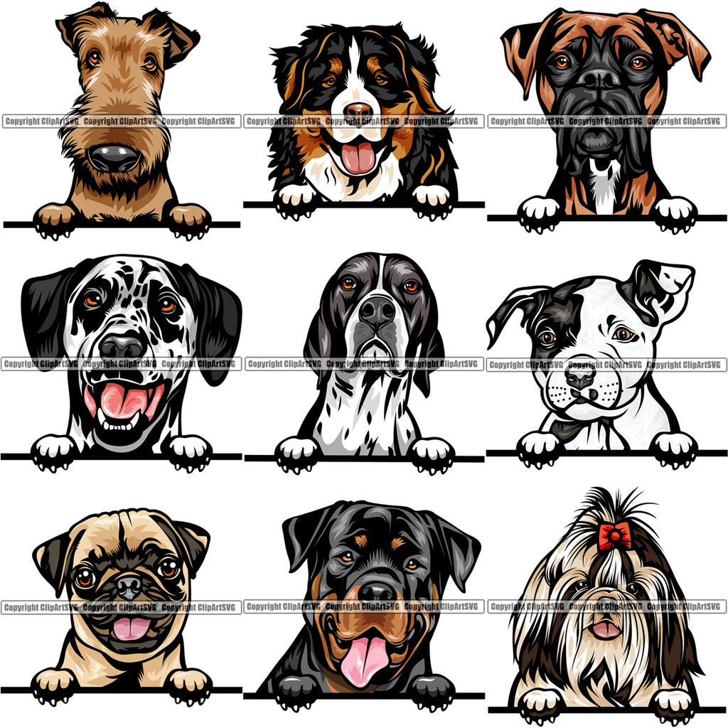 Download 9 Dog Breed Peeking Peek A Boo Top Selling Color Designs Bundle Clipart Svg Clipart Svg