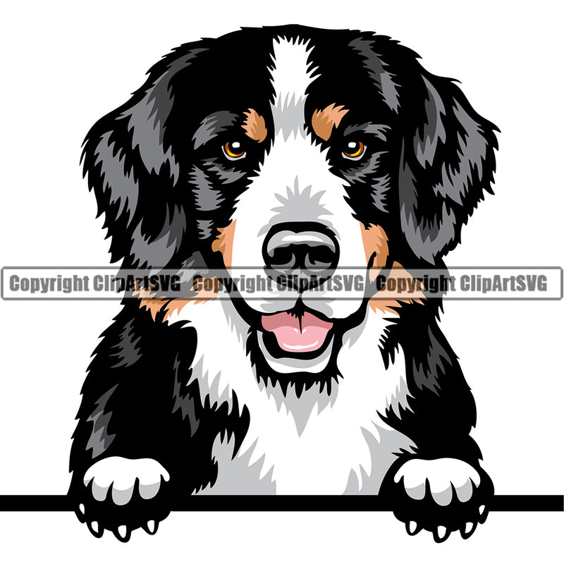 Free Free 260 Bernese Mountain Dog Svg Free SVG PNG EPS DXF File