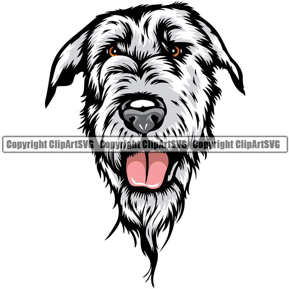 Irish Wolfhound Dog Breed Head Color ClipArt SVG – ClipArt SVG