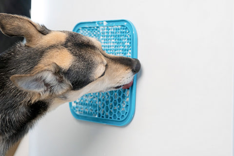 dog lick mat benefits