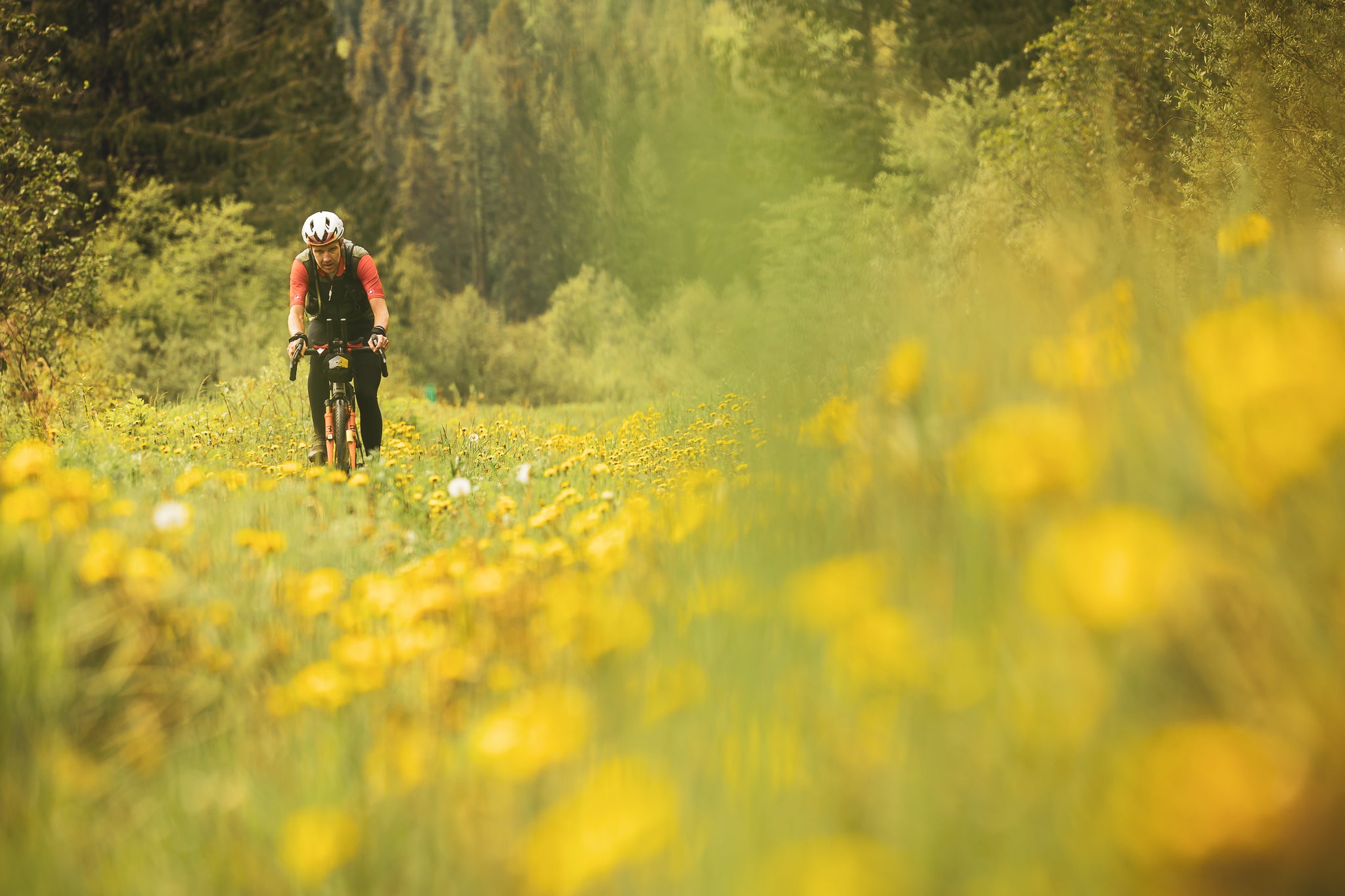 Riding through Bear country