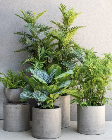 artificial indoor plants