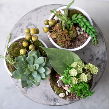 plant decorated types
