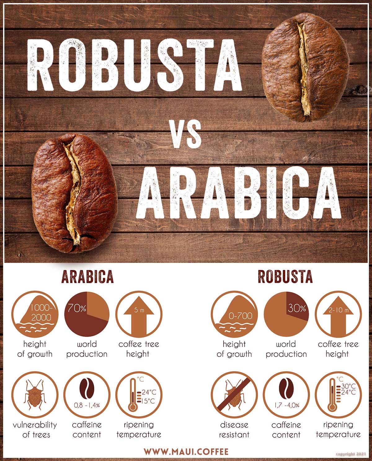 Robusta Vs Arabica coffee