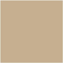 Benjamin Moore Lenox Tan HC-44: Paint Color Review - Kylie M Interiors