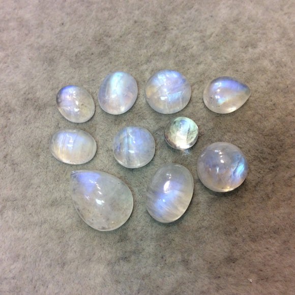 BULK LOT of Ten (10) Assorted Shapes of AAA Moonstone Flat Back Cabochons - Measuring 8-18mm, 4-9mm Dome Height - Random
