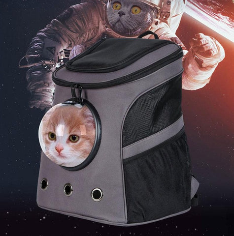 Black Cat Bubble Backpack