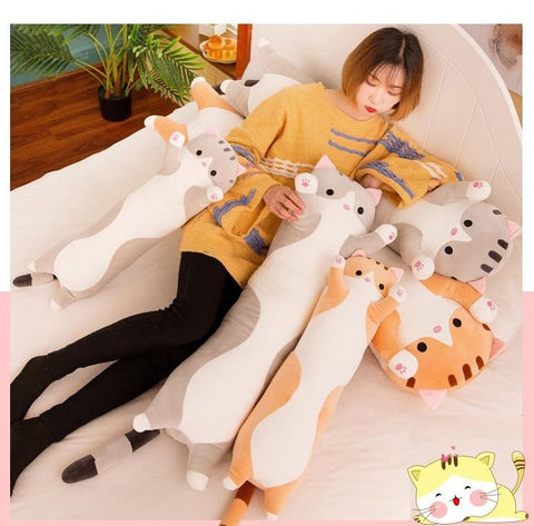 Cat Plush Toys