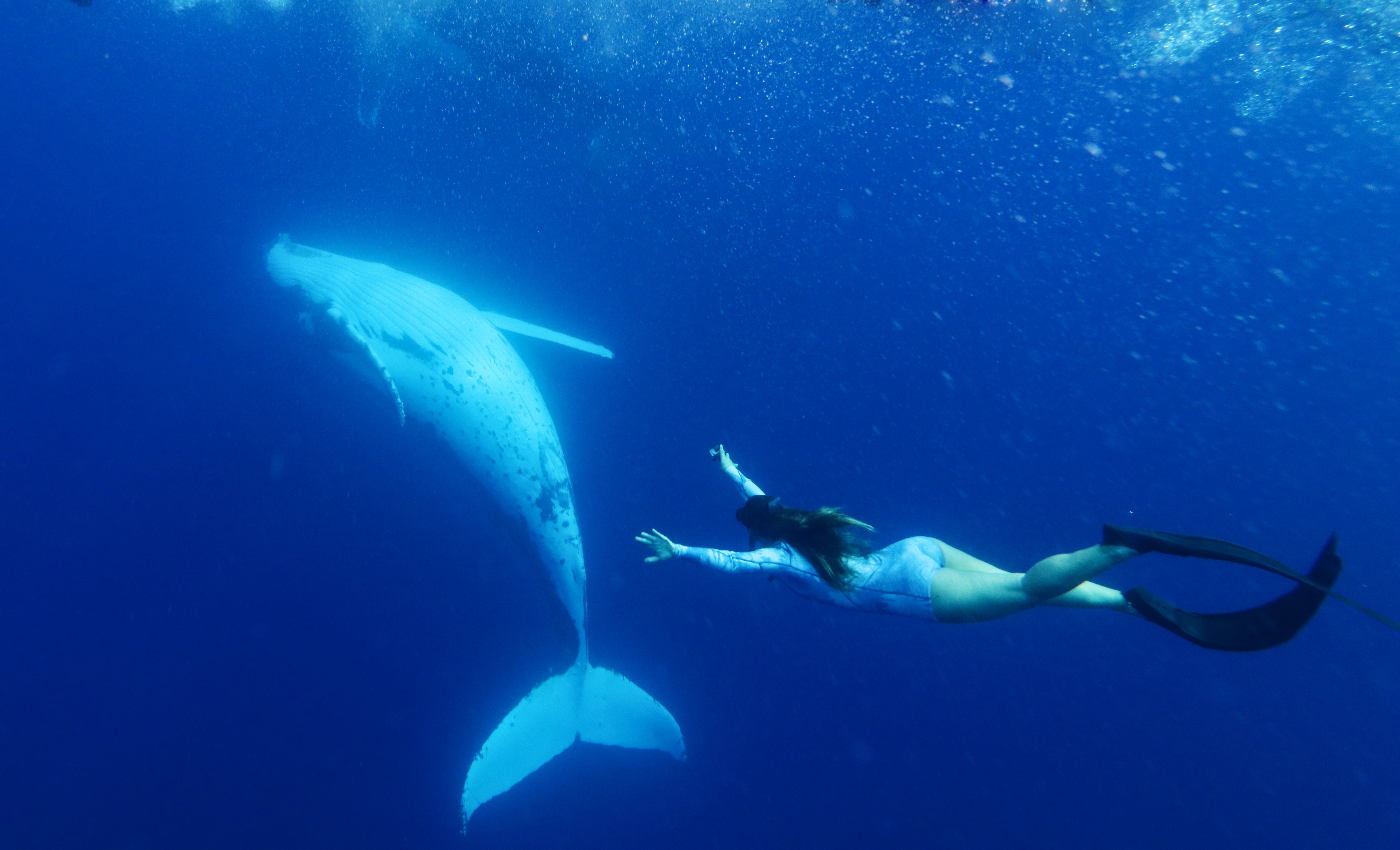 Swimming With Whales Yep Oceanzen Bikini
